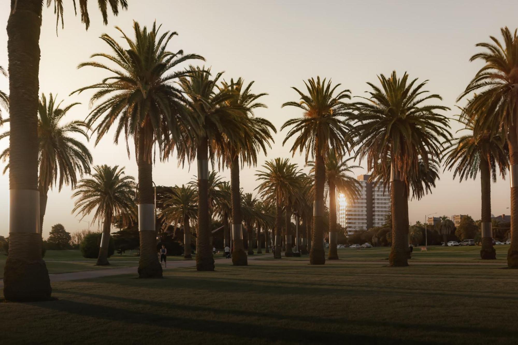 Mac St Kilda Blessington St By Melbourne Apartment Collection Bagian luar foto